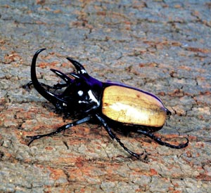 �S�z���d�m�J�u�g