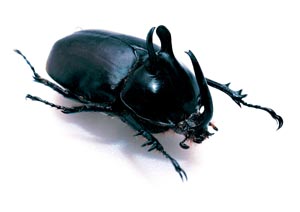 �r���}�S�z���d�m�J�u�g