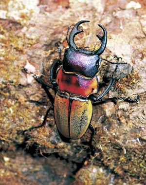 �]�������c���N���K�^