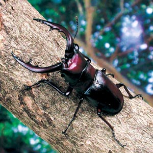 �m�R�M���N���K�^