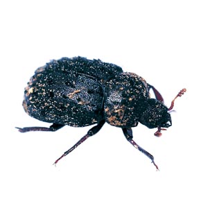 �}�_���N���K�^