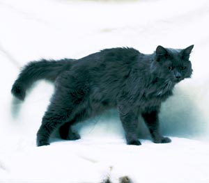 �T�C�x���A��