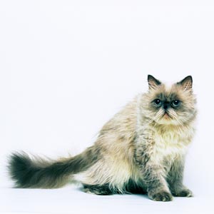 �q�}������