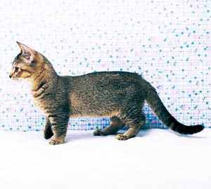 �}���`�J��