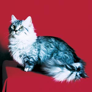 �}���`�J���E�����O�w�A