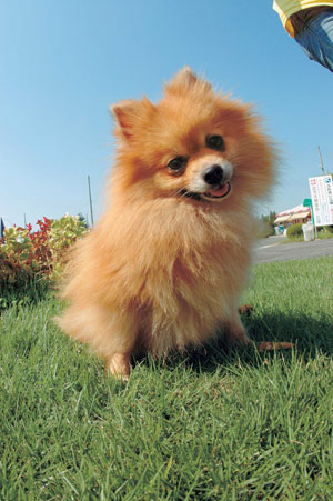 �|�����j�A��