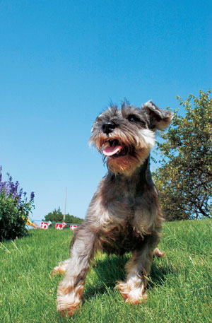 �~�j�`���A�E�V���i�E�U�[