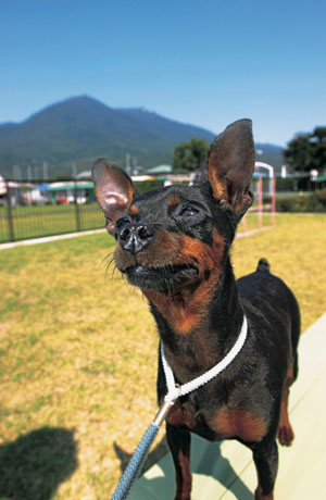 �~�j�`���A�E�s���V���[