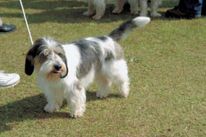 �v�`�E�o�Z�[�E�O���t�H���E�o���f�[��