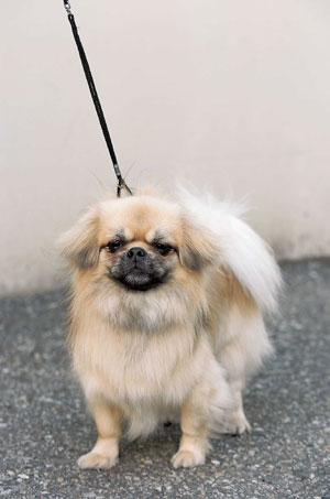 �`�x�^���E�X�p�j�G��