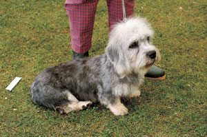 �_���f�B�E�f�B�������g�E�e���A