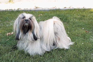 ���T�E�A�v�\