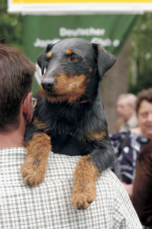 �W���[�}���E�n���e�B���O�E�e���A