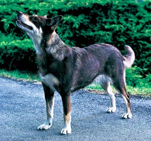 ���s���|���R�C��