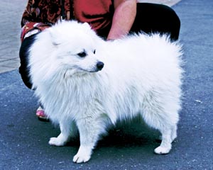 ���H���r�[�m�E�C�^���A�[�m