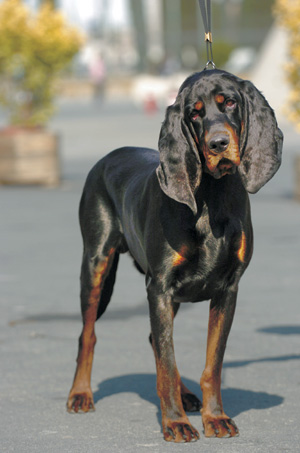 �u���b�N�E�A���h�E�^���E�N�[���n�E���h