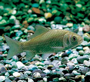 �t�i�i���j