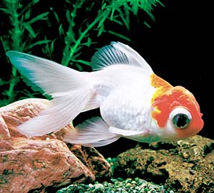 �O������