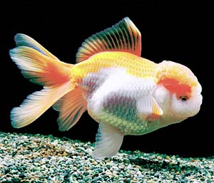 �X�уI�����_�V�V�K�V������