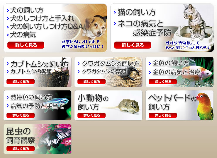 �������̎�����