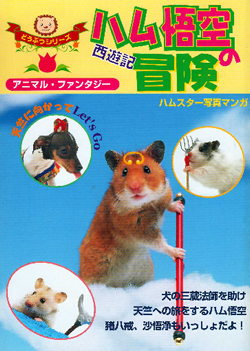 �n�����̖`��