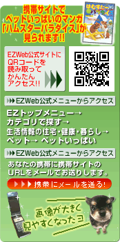 �y�b�g�����ς��̌����T�C�gURL���g�тɃ��[���ő���