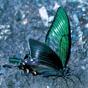 �~���}�J���X�A�Q�n