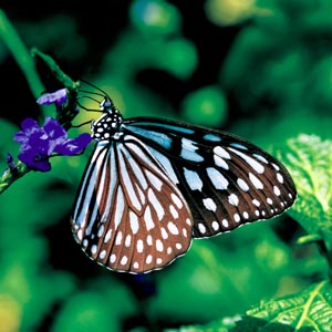 �A�T�M�}�_��