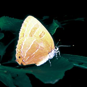 �A�J�V�W�~