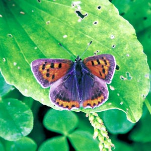 �x�j�V�W�~