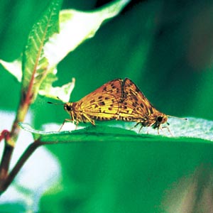 �L�}�_���Z�Z��