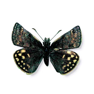 �~���}�Z�Z��