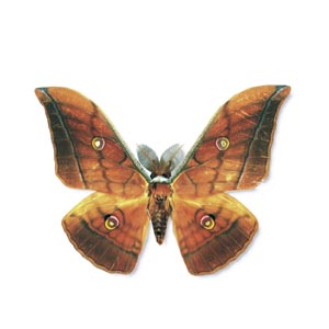 ���}�}��