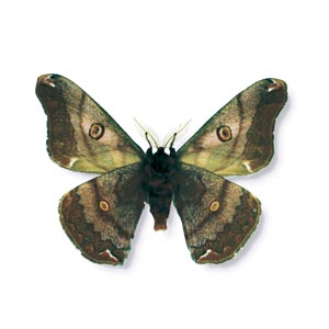 �q�����}�}��