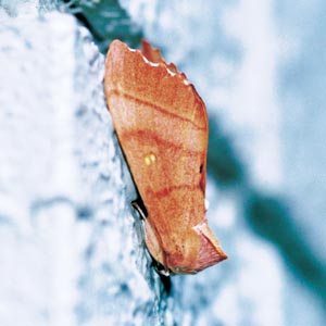 �Z�_�J�V���`�z�R