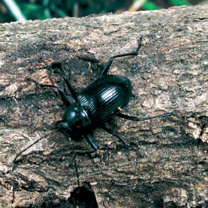 �L�}����