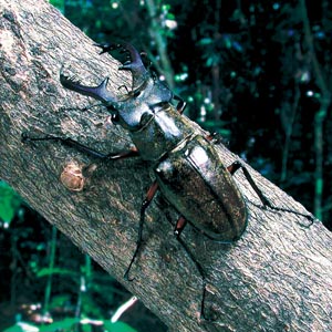 �~���}�N���K�^