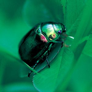 �R�K�l���V