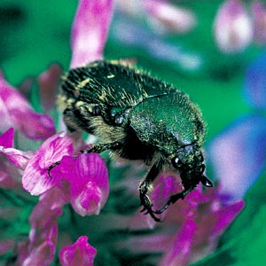 �n�i���O��