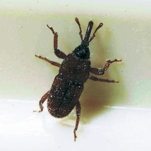 �R�N�]�E���V