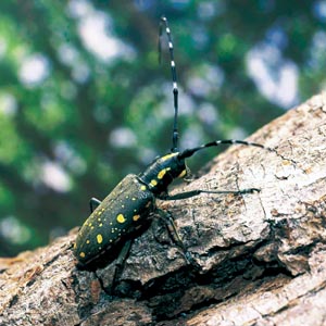 �L�{�V�J�~�L��