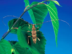 �L�}�_���J�~�L��