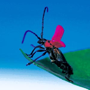 �x�j�J�~�L��