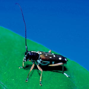 �V���z�V�J�~�L��