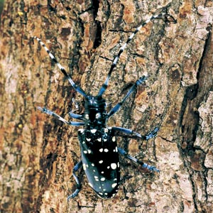 �S�}�_���J�~�L��