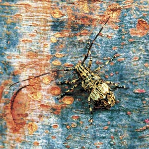 �i�K�S�}�t�J�~�L��