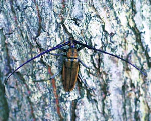 �~���}�J�~�L��