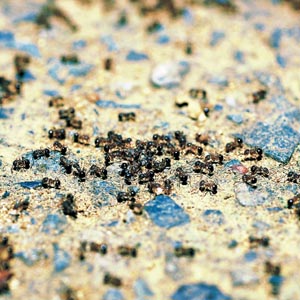 �A�~���A��