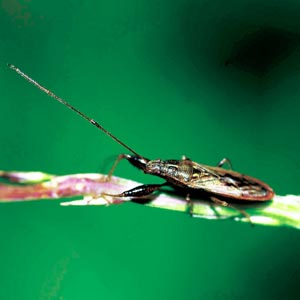 �q�Q�i�K�J�����V