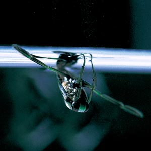 �}�c�����V